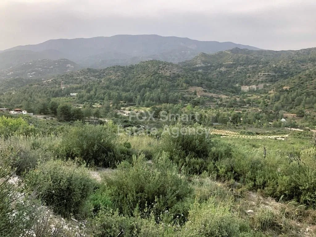 Property 47110 Agios Mamas, Limassol / LIM-PAF-18632