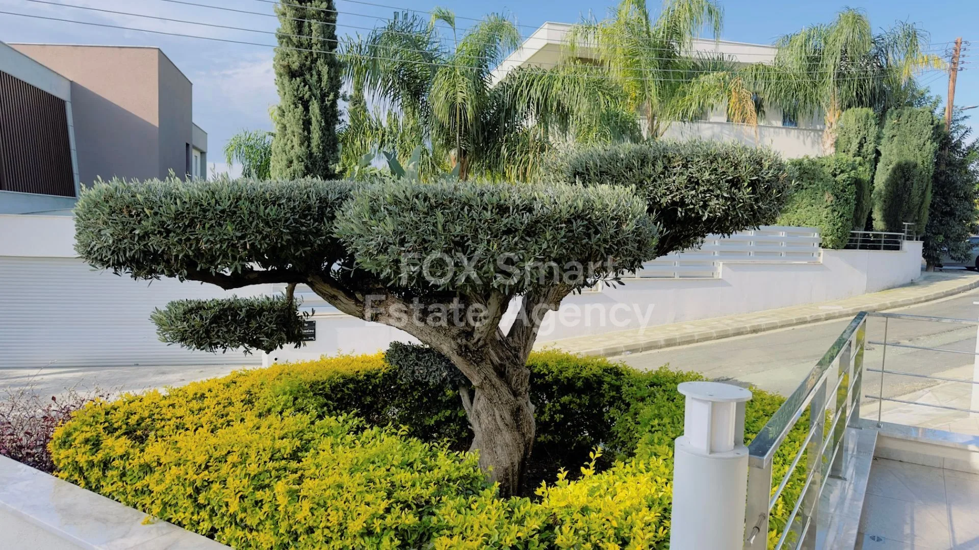 Propiedad 41197 Mouttagiaka, Limassol / LIM-PAF-18684 22