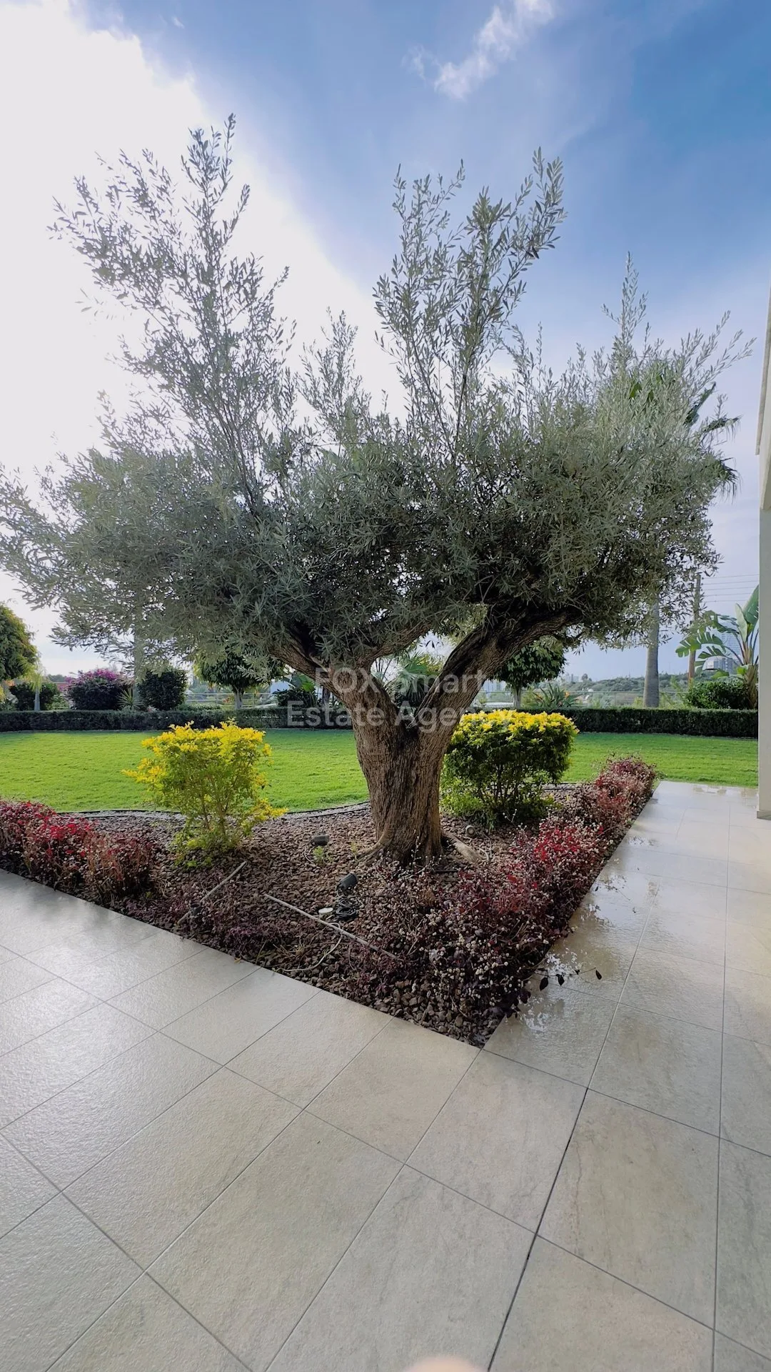 Propiedad 41197 Mouttagiaka, Limassol / LIM-PAF-18684 37