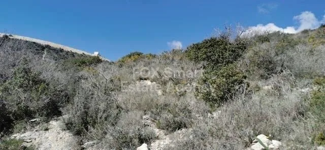 Bien immobilier 41296 Kapileio, Limassol / LIM-PAF-19012