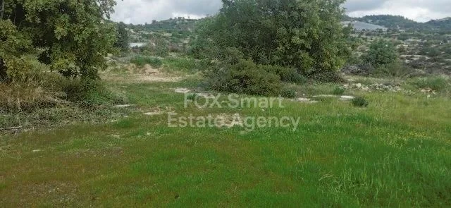 Propiedad 41300 Pera Pedi, Limassol / LIM-PAF-19033