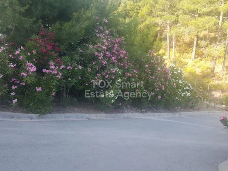 Bien immobilier 26422 Platres, Limassol / LIM-PAF-2318 29