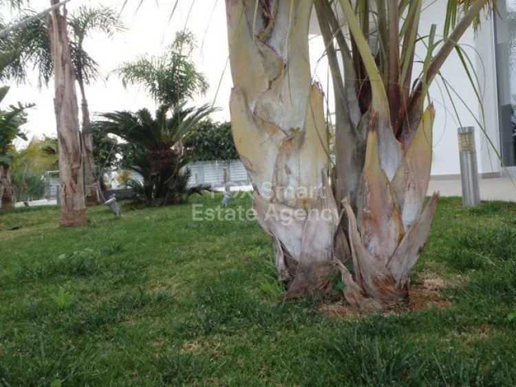 Property 25837 Agios Athanasios, Limassol / LIM-PAF-2440 13
