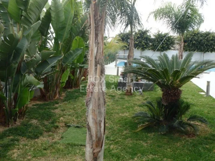 Property 25837 Agios Athanasios, Limassol / LIM-PAF-2440 16