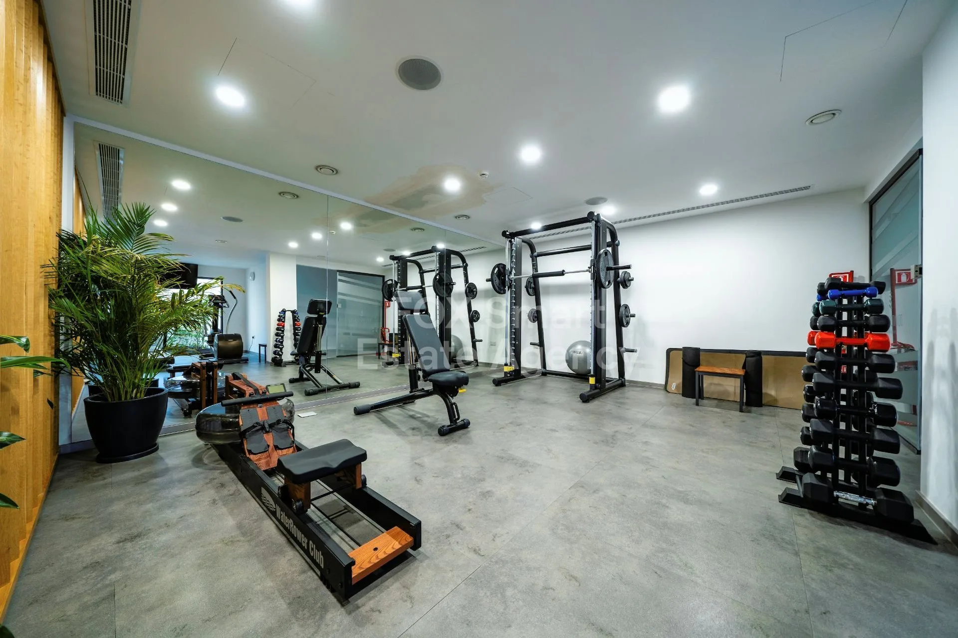Immobile 34540 Paphos, Pafos / LIM-PAF-24774 13