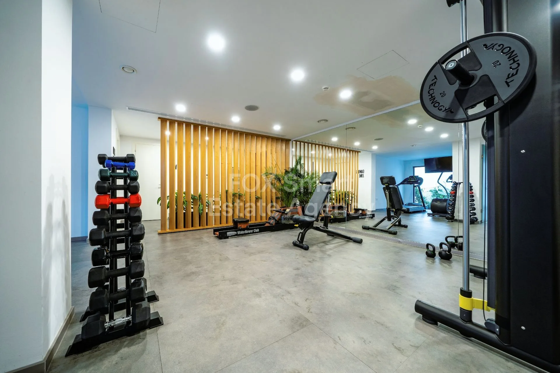 Immobile 34540 Paphos, Pafos / LIM-PAF-24774 14