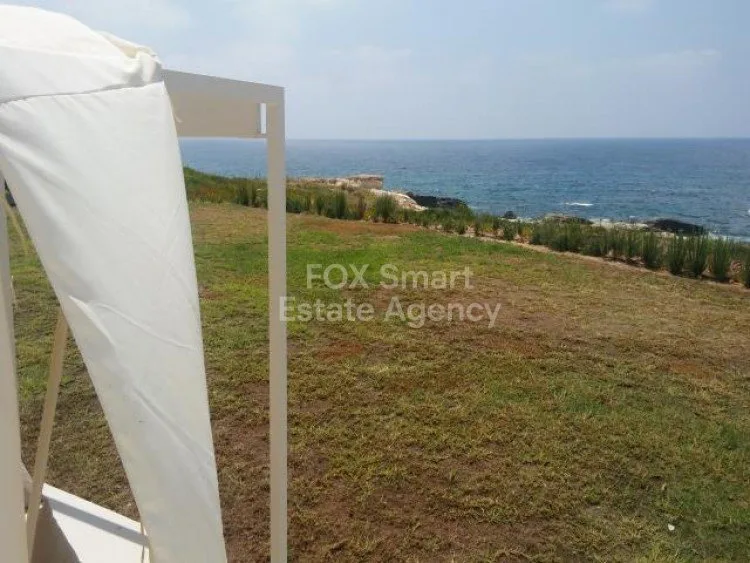 Property 26104 Pegeia, Paphos / LIM-PAF-2520 19