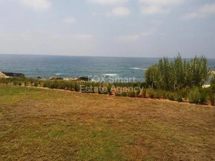 Property 26104 Pegeia, Paphos / LIM-PAF-2520 20