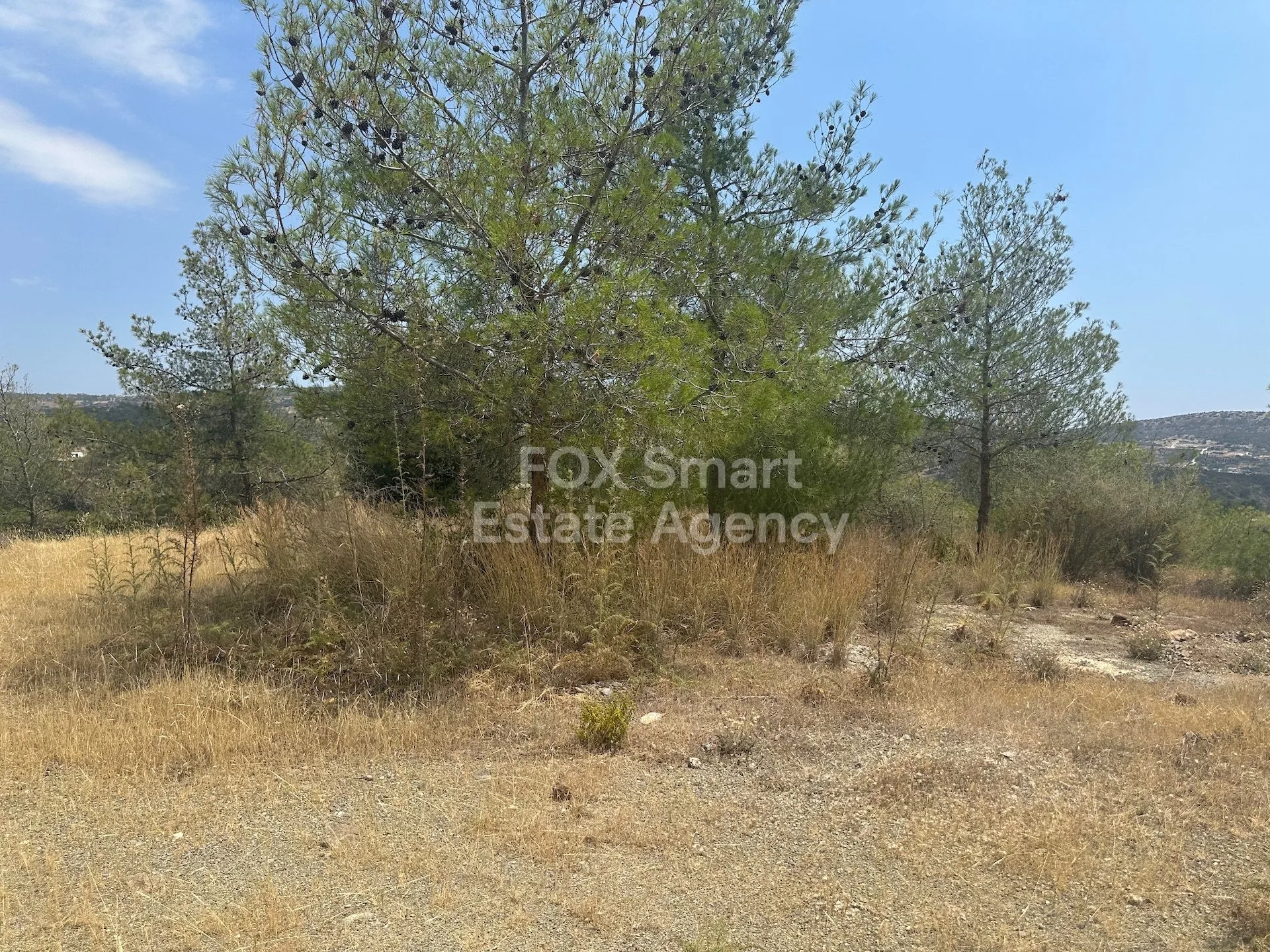 Immobile 37092 Foinikaria, Limassol / LIM-PAF-25255 13