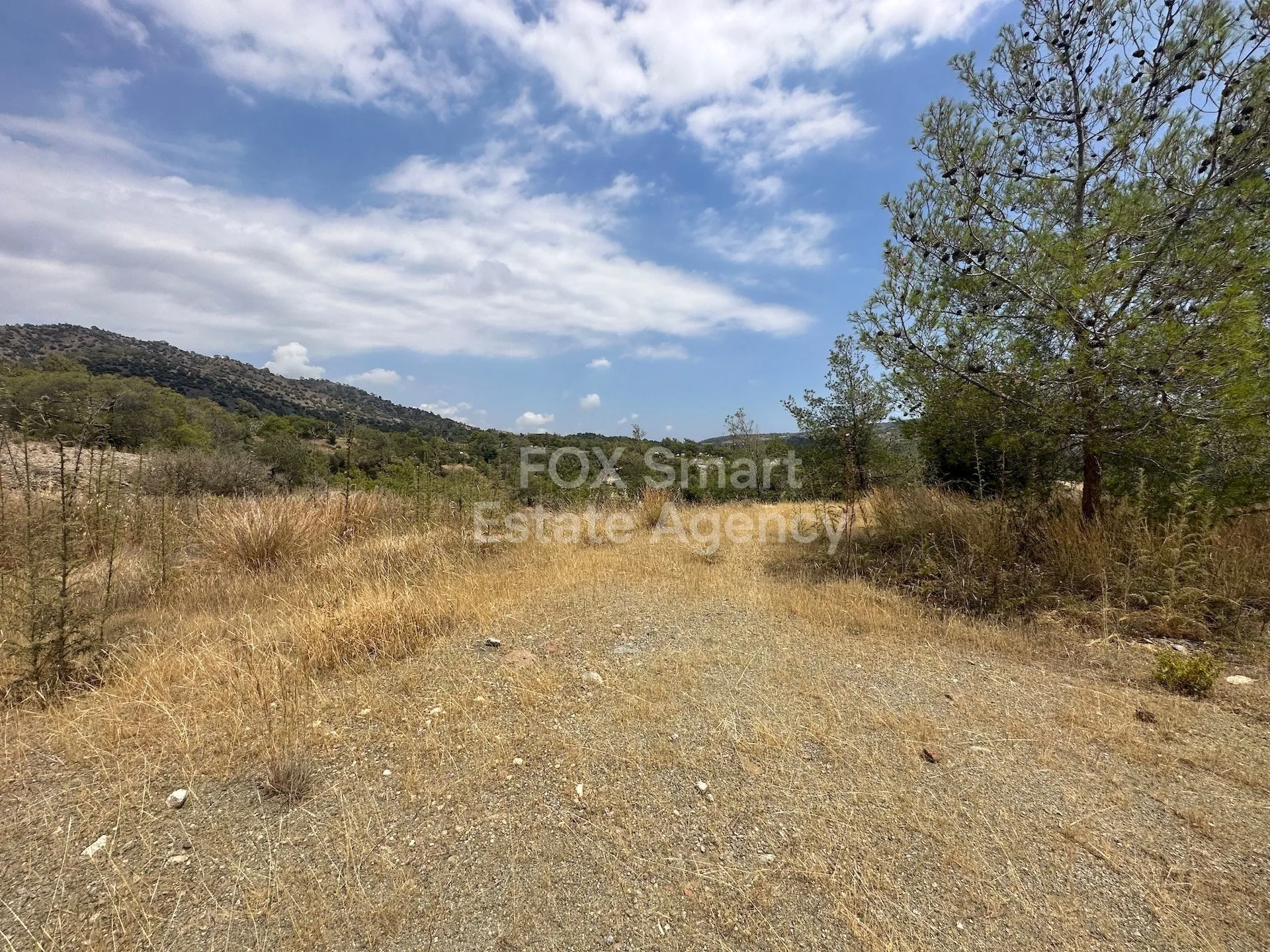 Immobile 37092 Foinikaria, Limassol / LIM-PAF-25255 16