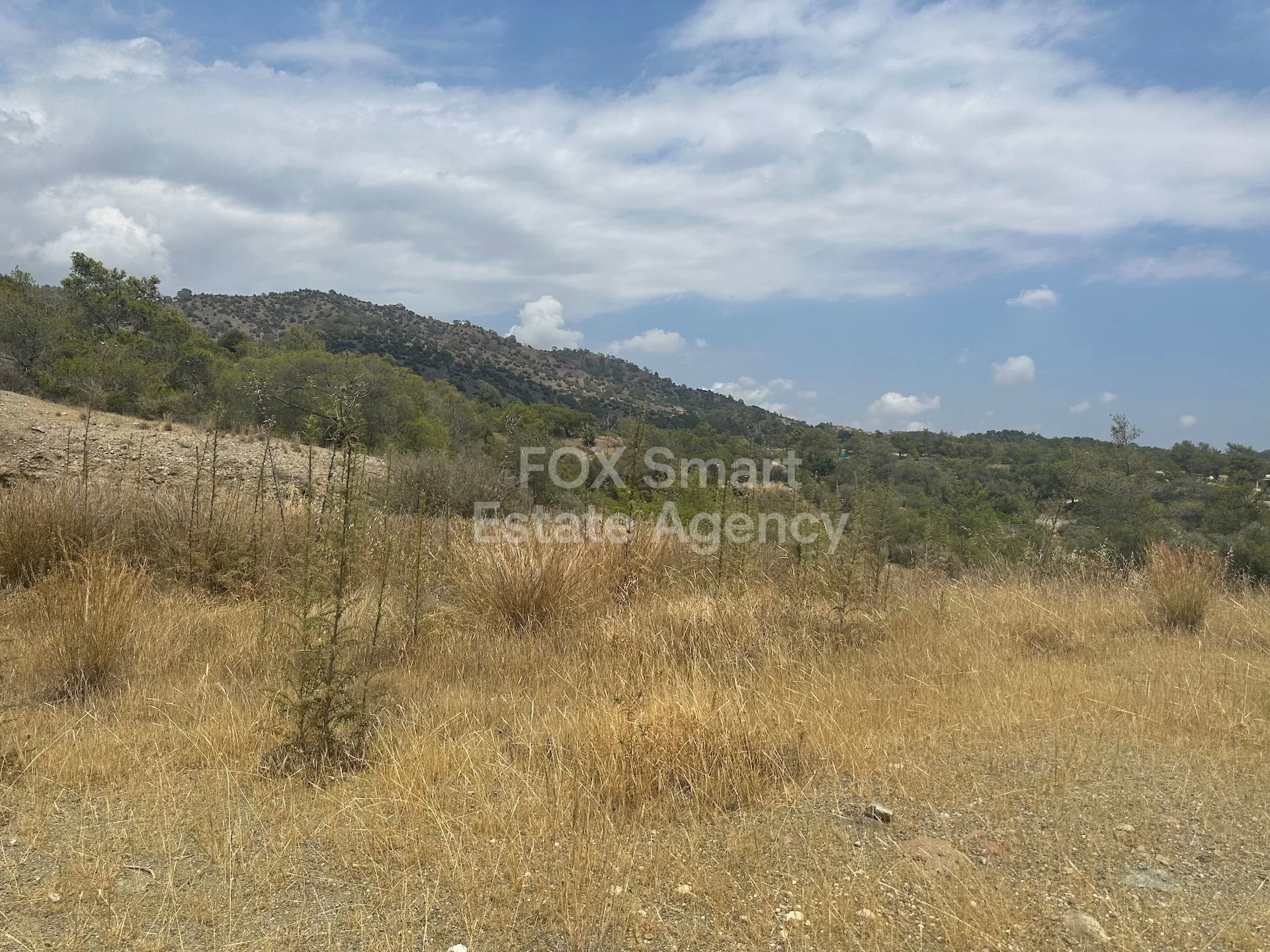 Immobile 37092 Foinikaria, Limassol / LIM-PAF-25255 17