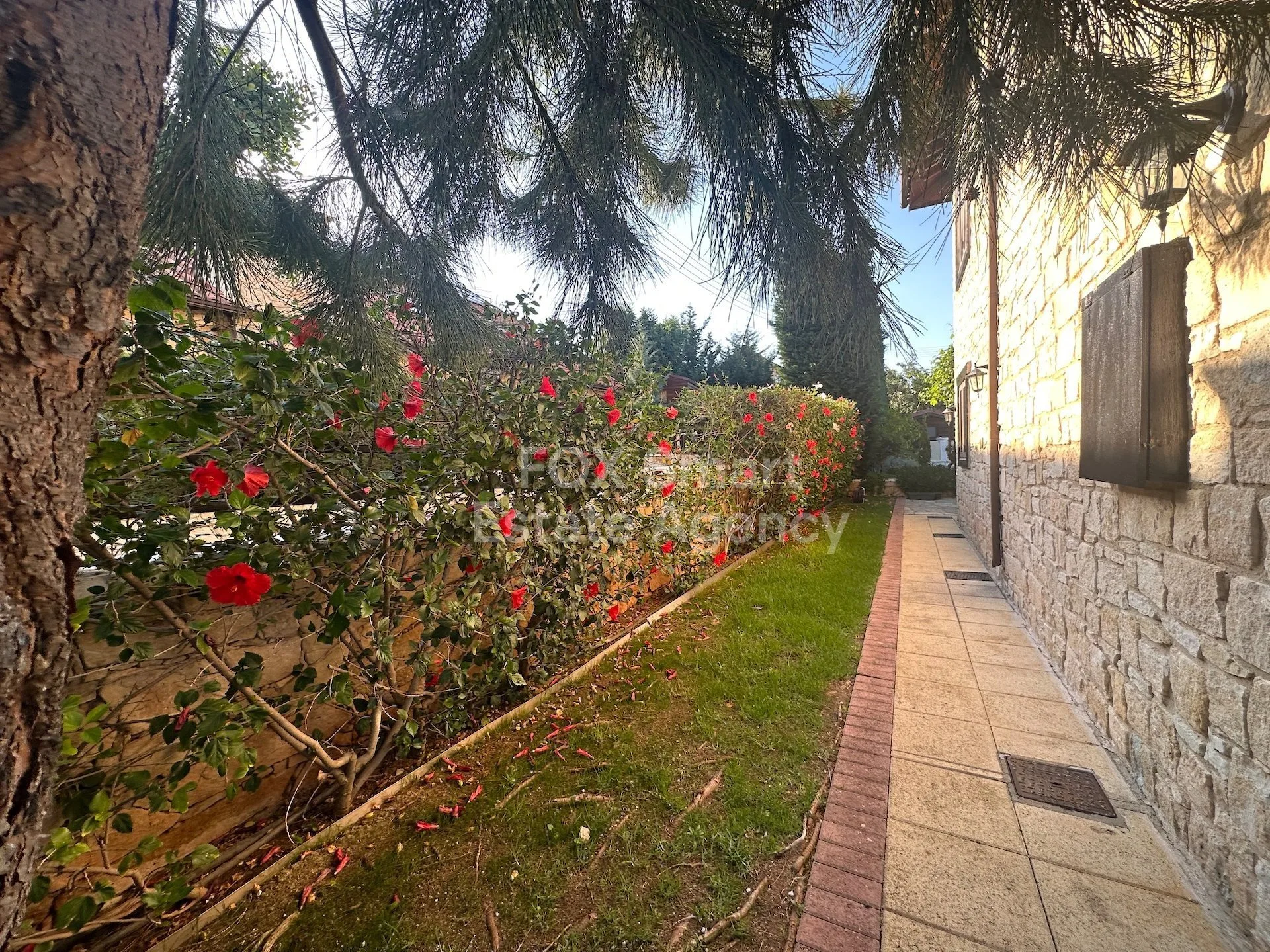 Property 38792 Limassol, Limassol / LIM-PAF-25419 26