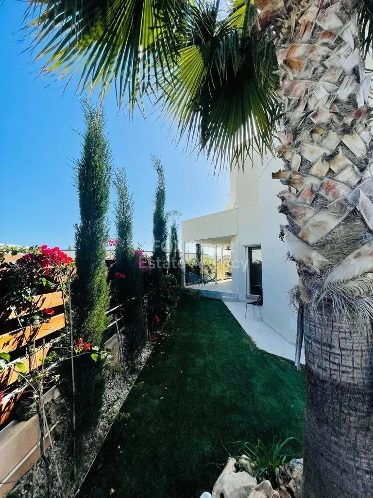 Property 39288 Limassol, Limassol / LIM-PAF-25574 26