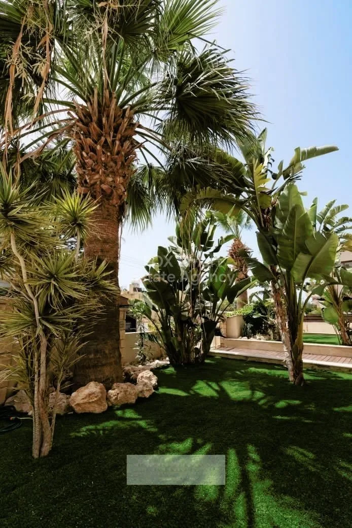 Immobile 39872 Paphos, Pafos / LIM-PAF-25717 22