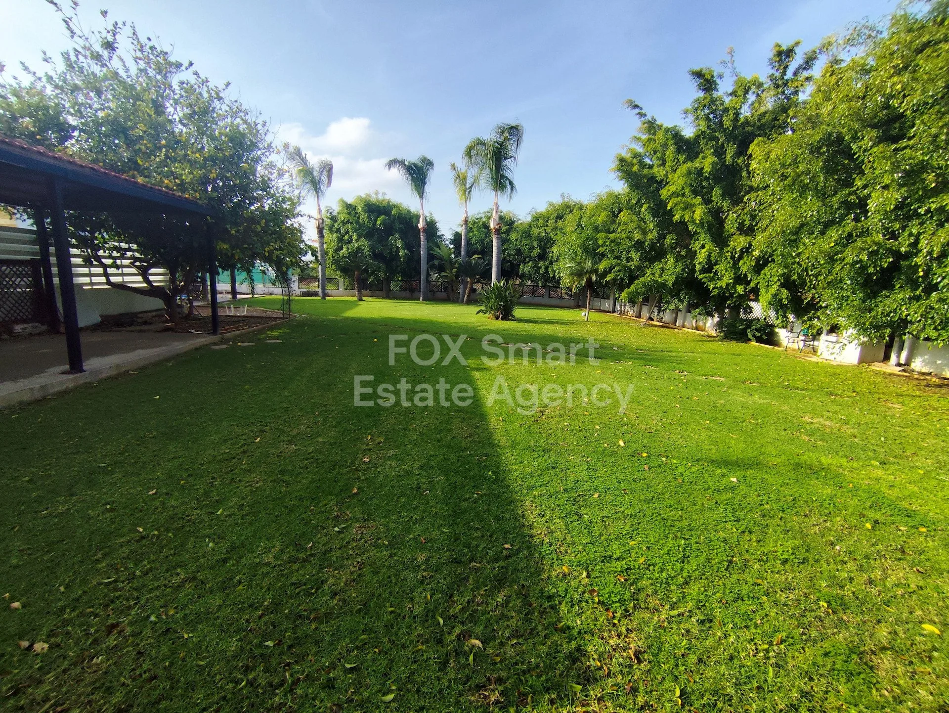 Property LIM-PAF-25813 Paralimni, Famagusta 47