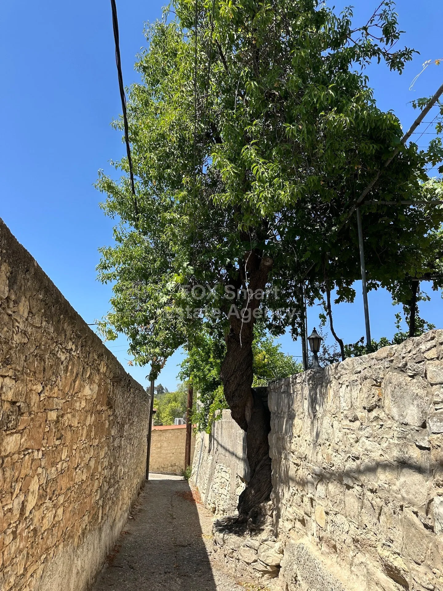 Bien immobilier LIM-PAF-26149 Salamiou, Paphos 15