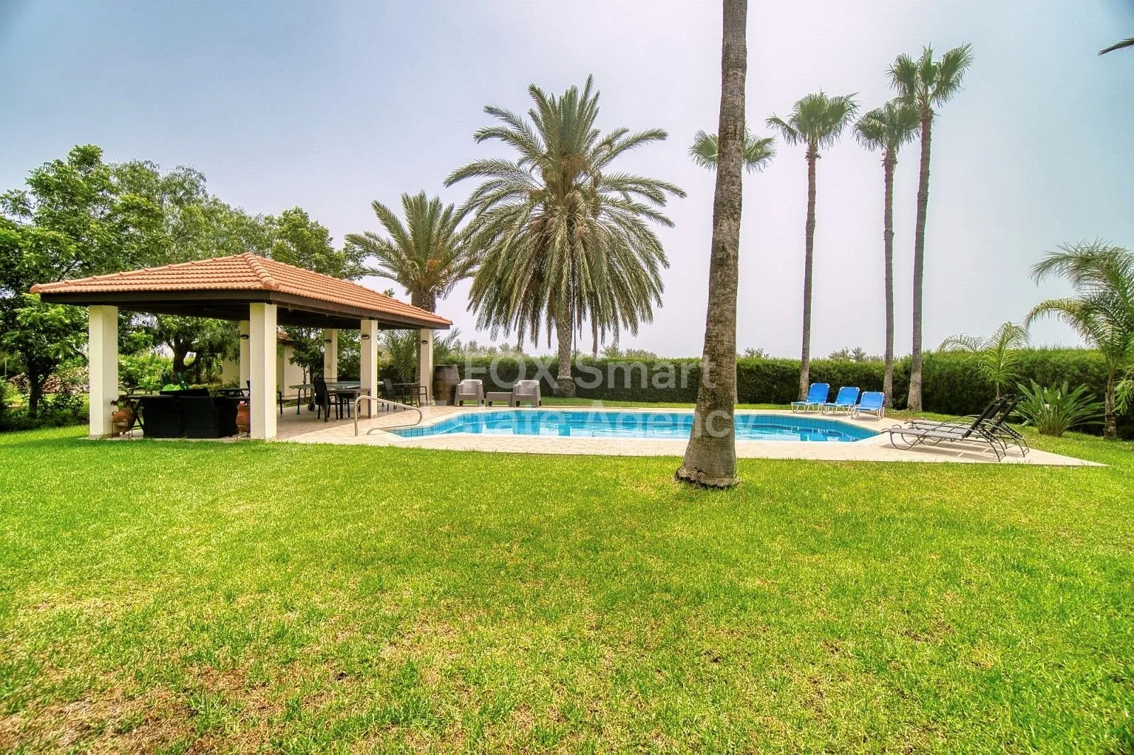 Property 42143 Timi, Paphos / LIM-PAF-26165 33
