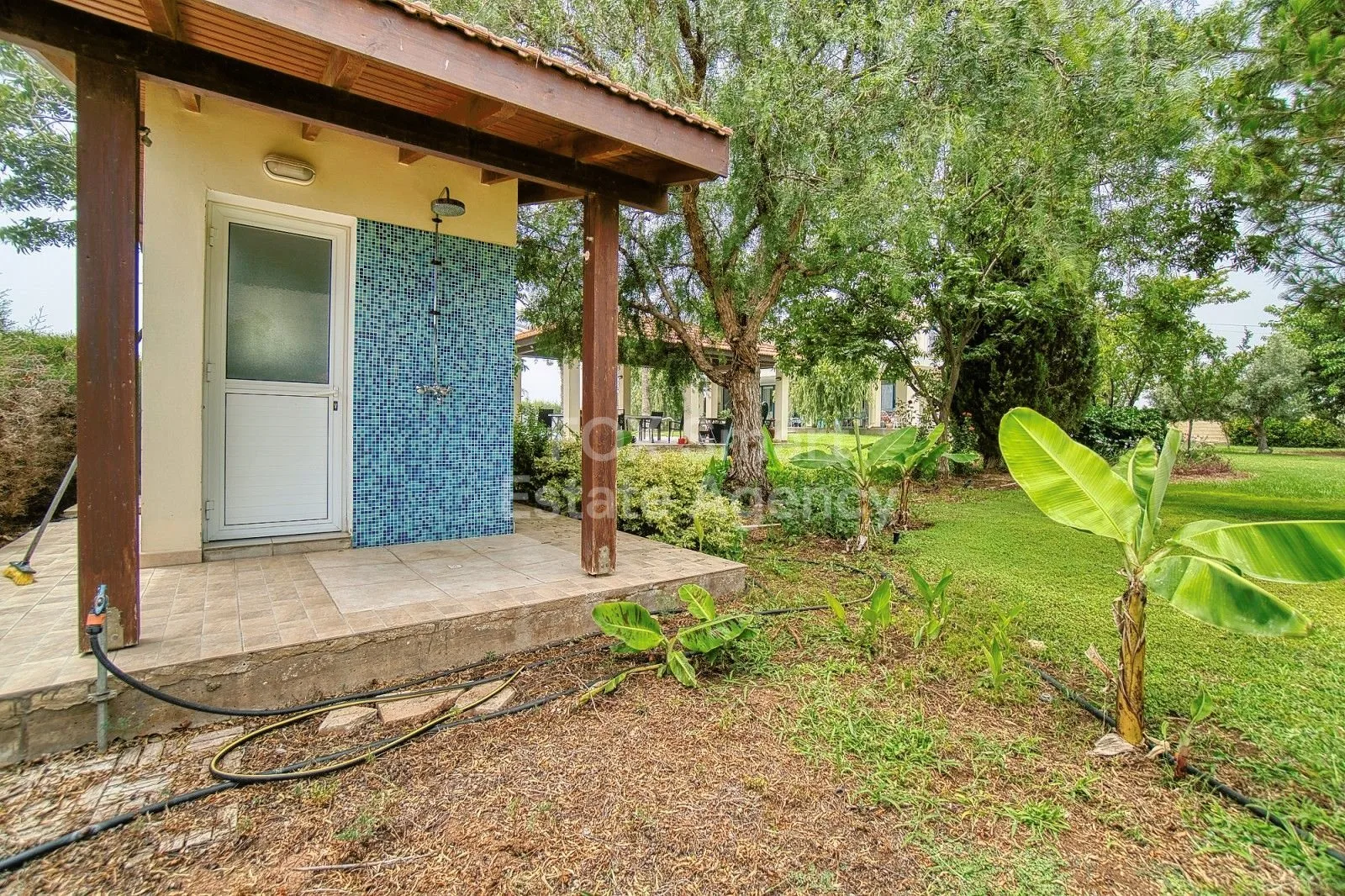 Property 42143 Timi, Paphos / LIM-PAF-26165 40