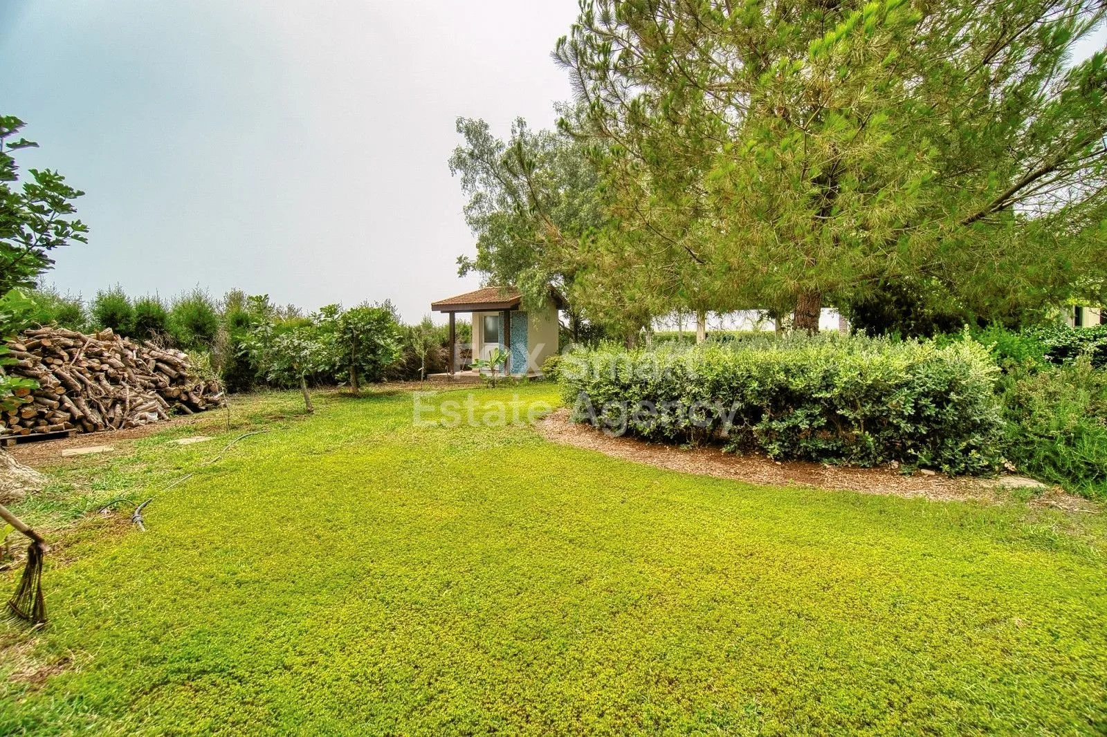 Property 42143 Timi, Paphos / LIM-PAF-26165 41