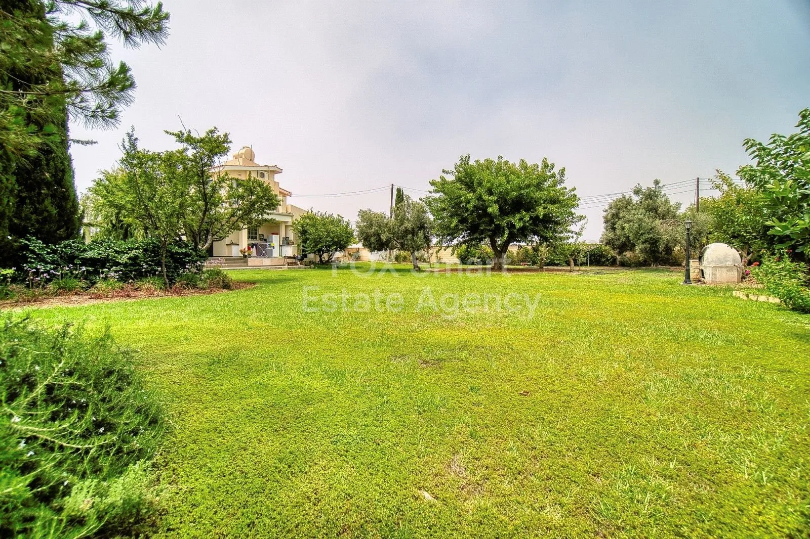 Property 42143 Timi, Paphos / LIM-PAF-26165 42