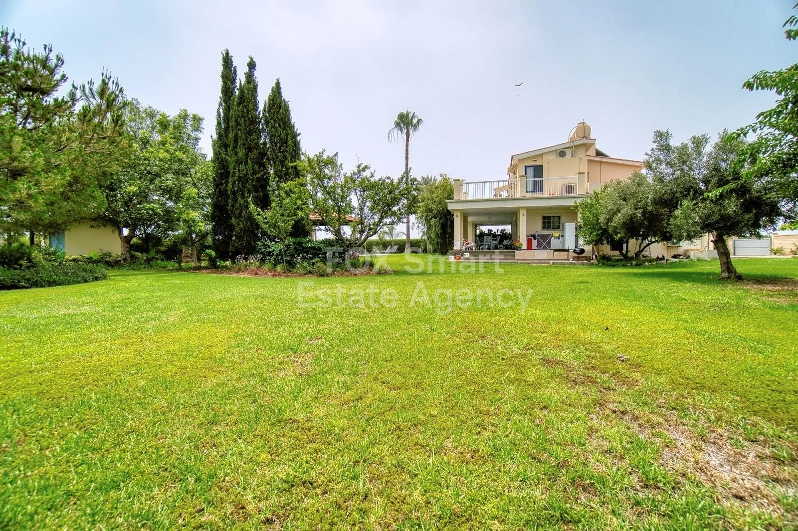 Property 42143 Timi, Paphos / LIM-PAF-26165 43