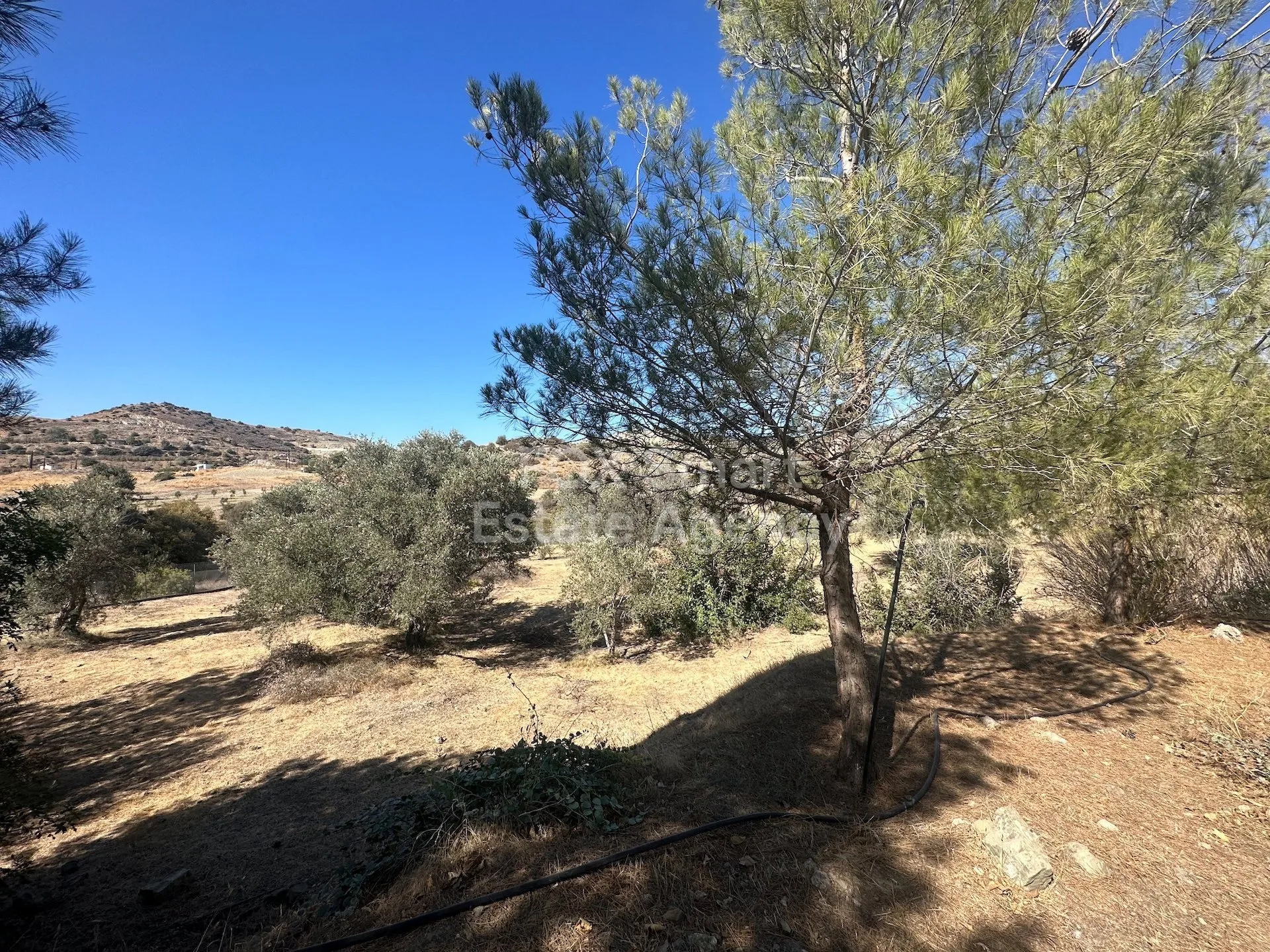 Bien immobilier 44470 Moni, Limassol / LIM-PAF-27065 22