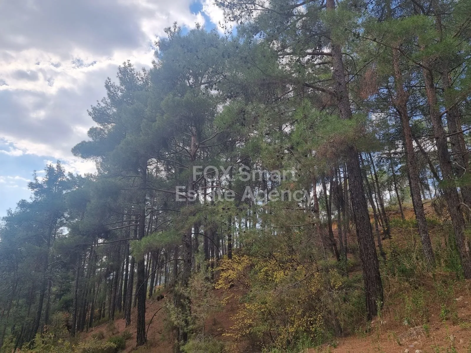 Propiedad 44798 Platres, Limassol / LIM-PAF-27202