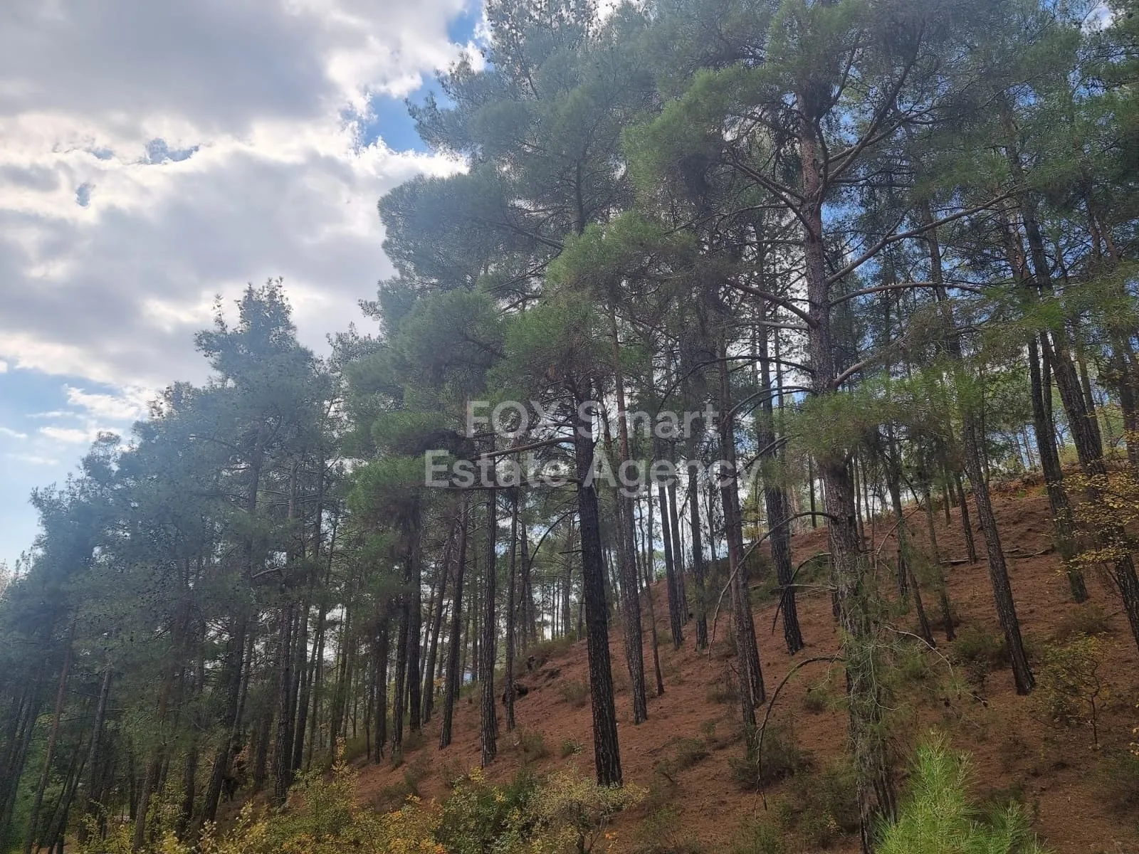 Propiedad 44798 Platres, Limassol / LIM-PAF-27202