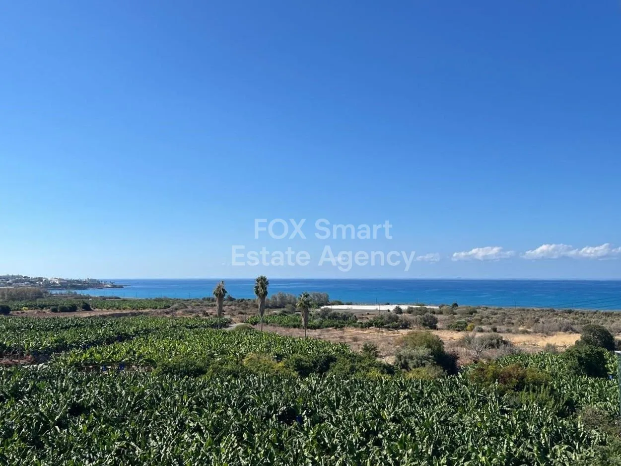 Bien immobilier 45322 Pegeia, Paphos / LIM-PAF-27417 38