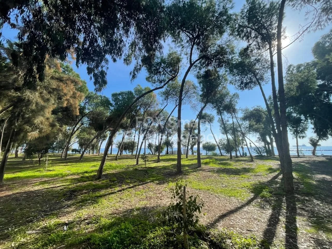 Propiedad LIM-PAF-27584 Germasogeia, Limassol 13