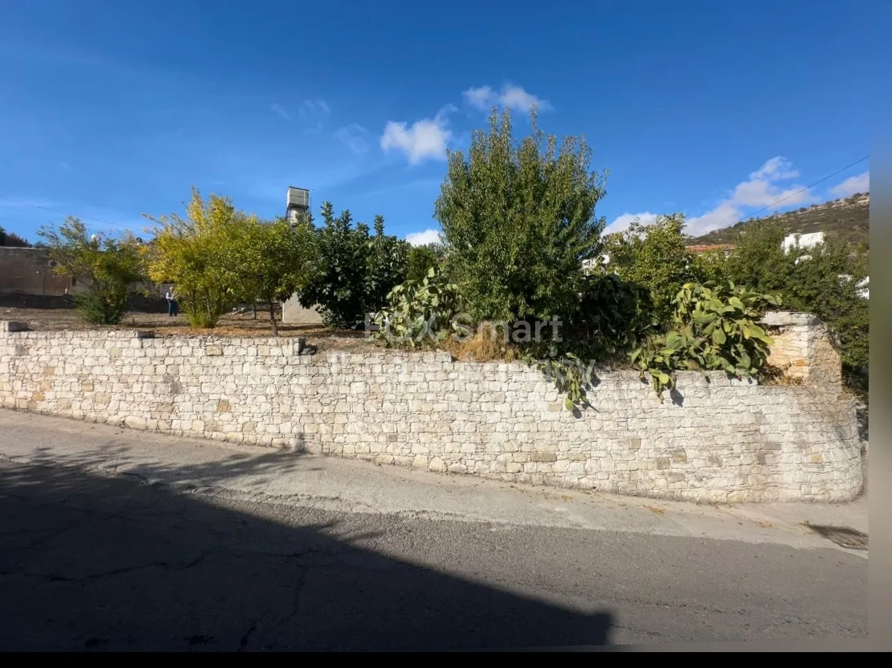 Bien immobilier 47683 Salamiou, Paphos / LIM-PAF-28319 14