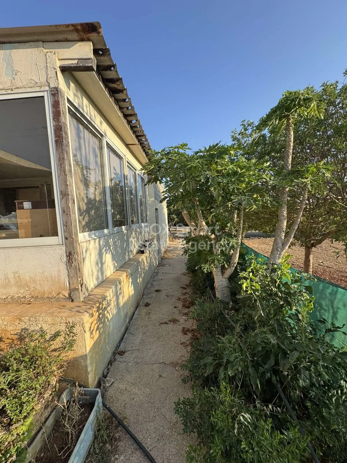 Bien immobilier 52439 Chloraka, Paphos / LIM-PAF-30636 14
