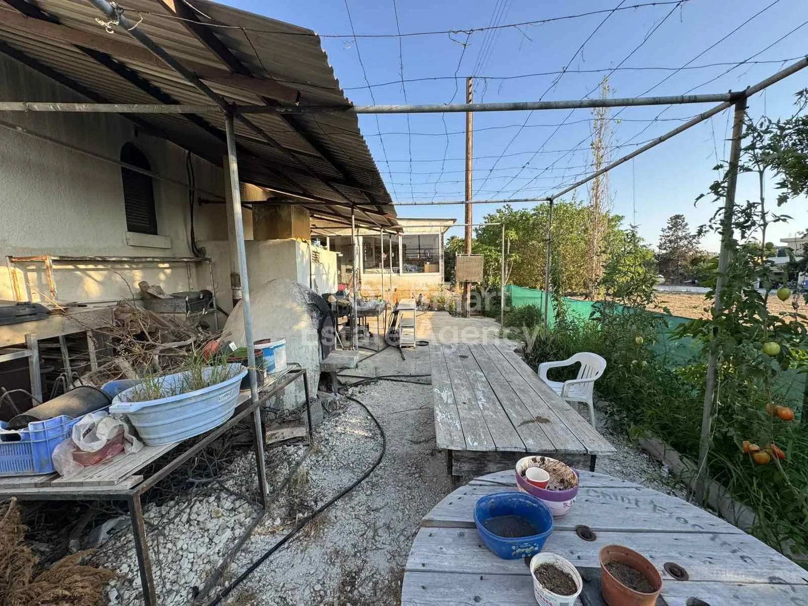 Bien immobilier 52439 Chloraka, Paphos / LIM-PAF-30636 16