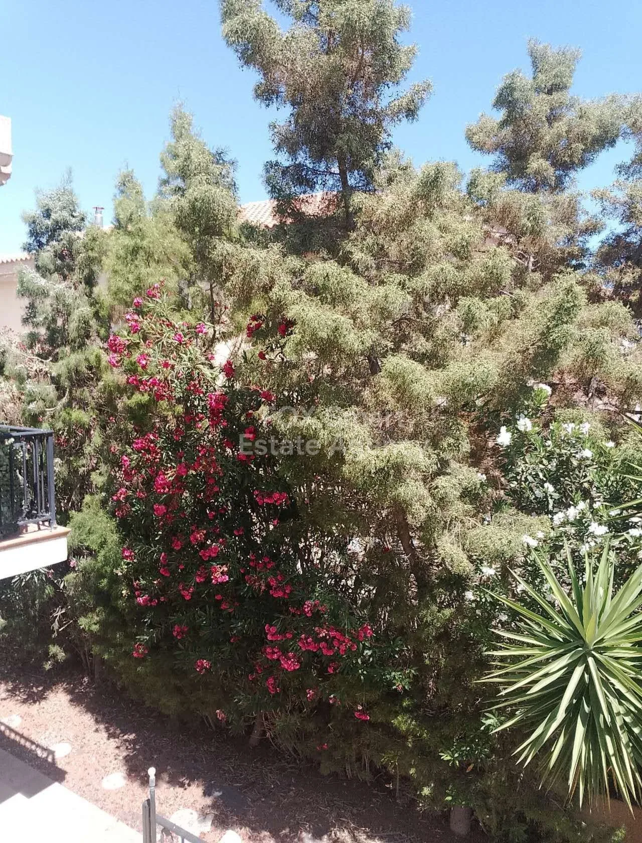 Property LIM-PAF-30661 Mouttagiaka, Limassol 37