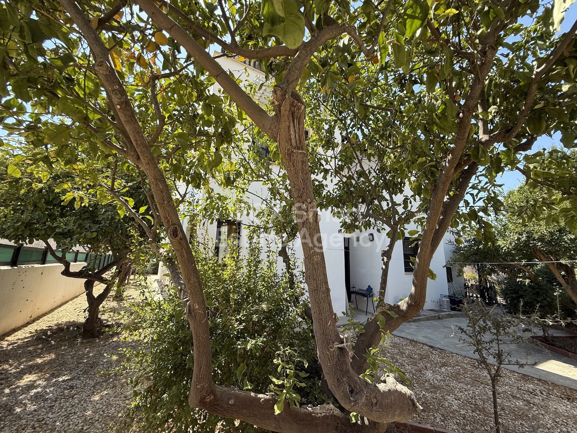 Propiedad 53220 Agia Fyla, Limassol / LIM-PAF-30917 13