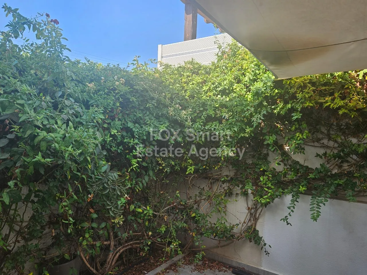Bien immobilier 53395 Ekali, Limassol / LIM-PAF-30995 17