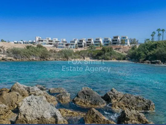 Bien immobilier 55118 Kissonerga, Paphos / LIM-PAF-31811 37