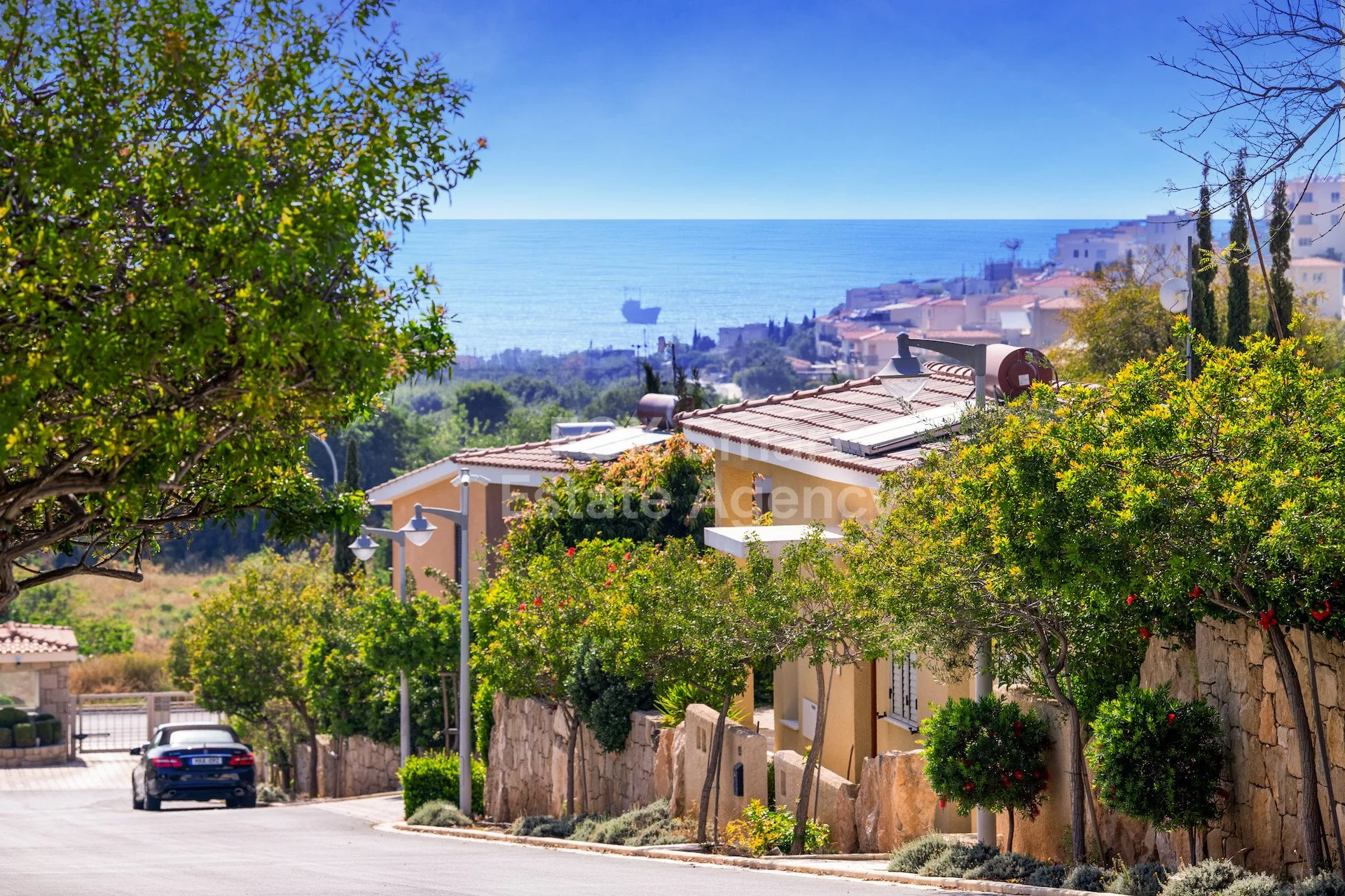 Property 55288 Chloraka, Paphos / LIM-PAF-31881 32