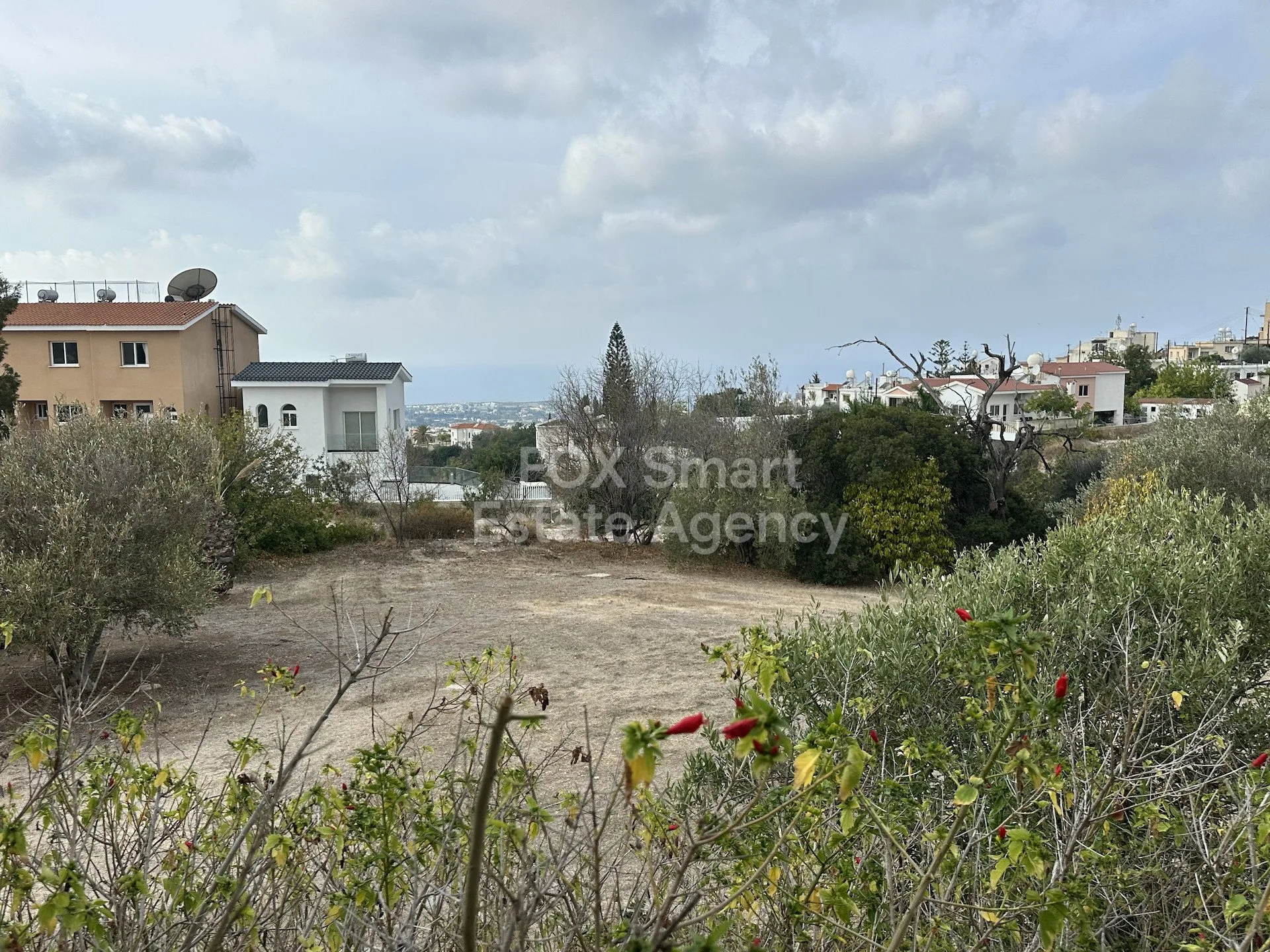 Bien immobilier 57289 Pegeia, Paphos / LIM-PAF-32697 14