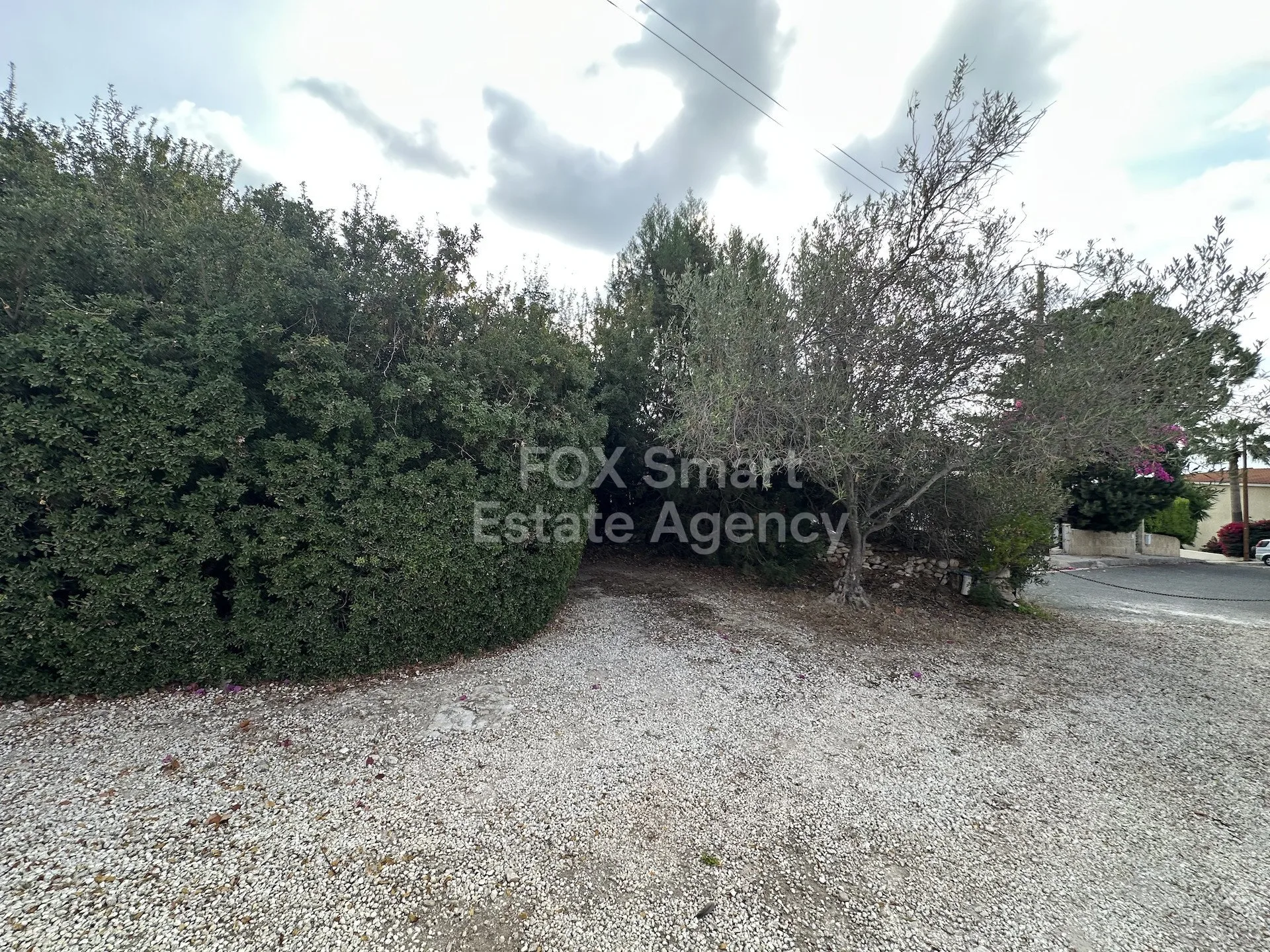Immobilie 57289 Pegeia, Paphos / LIM-PAF-32697