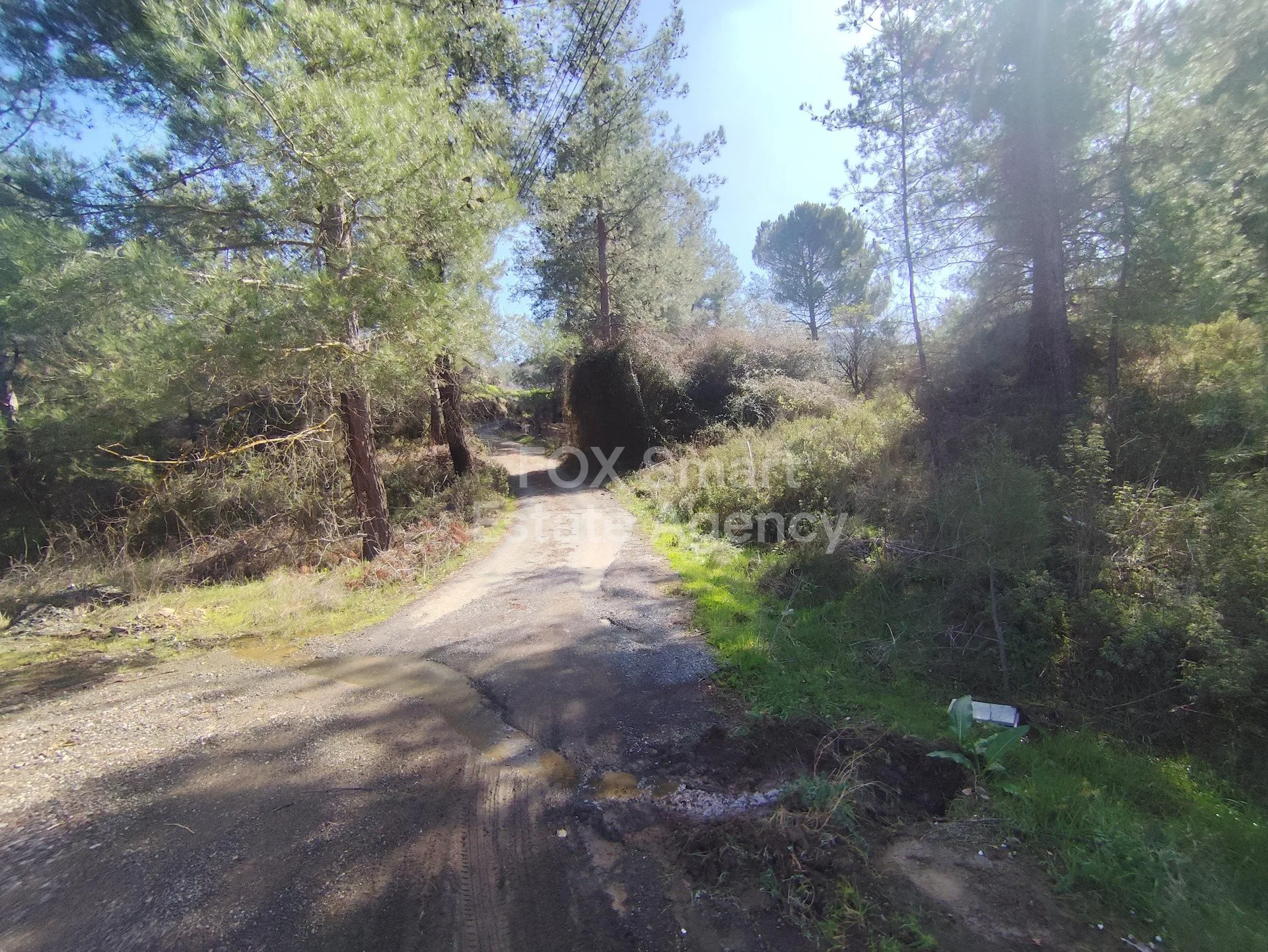 Property 57954 Mandria, Limassol / LIM-PAF-32981 16