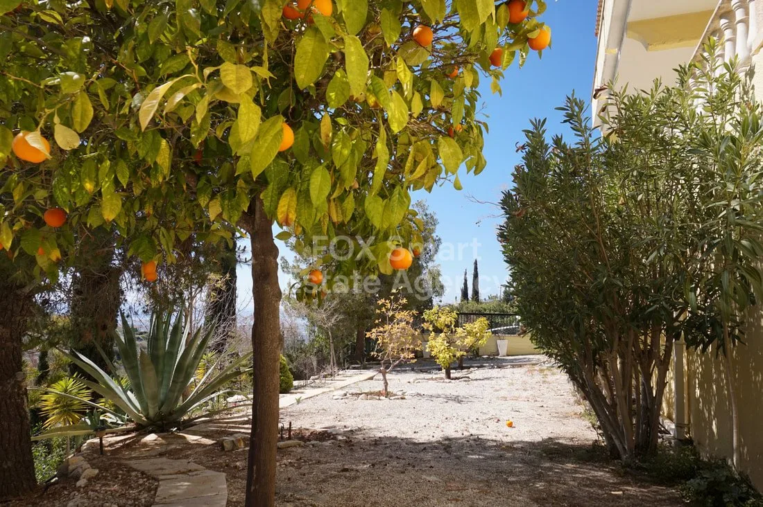 Immobilie 58858 Tala, Paphos / LIM-PAF-33384 19