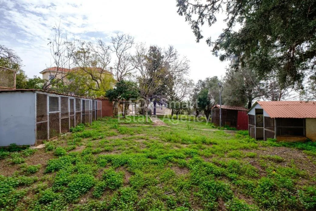 Bien immobilier LIM-PAF-33457 Pegeia, Paphos 14