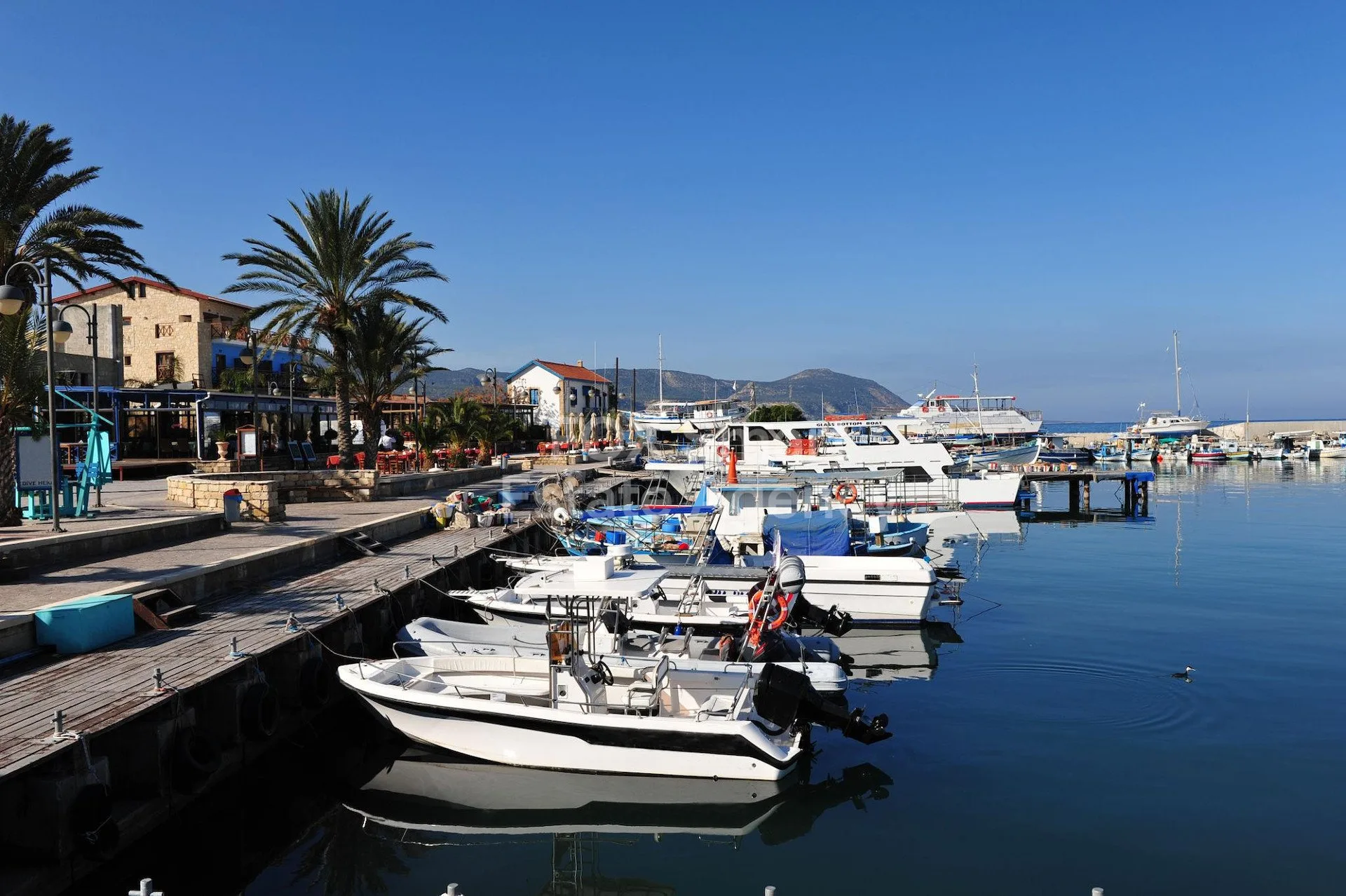 Bien immobilier 59007 Polis, Paphos / LIM-PAF-33462 15