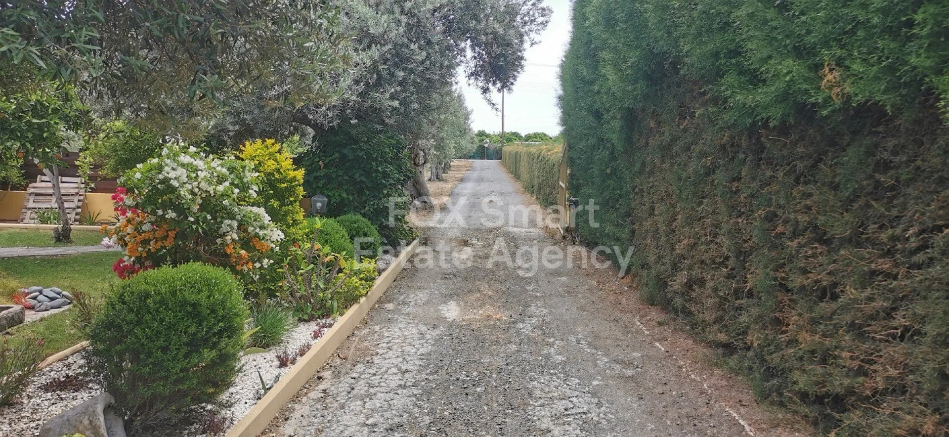 Immobilie 59655 Kolossi, Limassol / LIM-PAF-33511