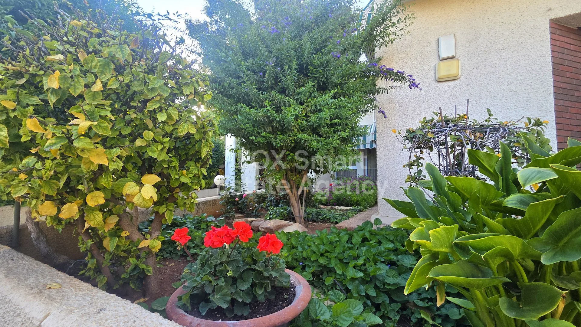 Immobilie 59662 Limassol, Limassol / LIM-PAF-33531 14