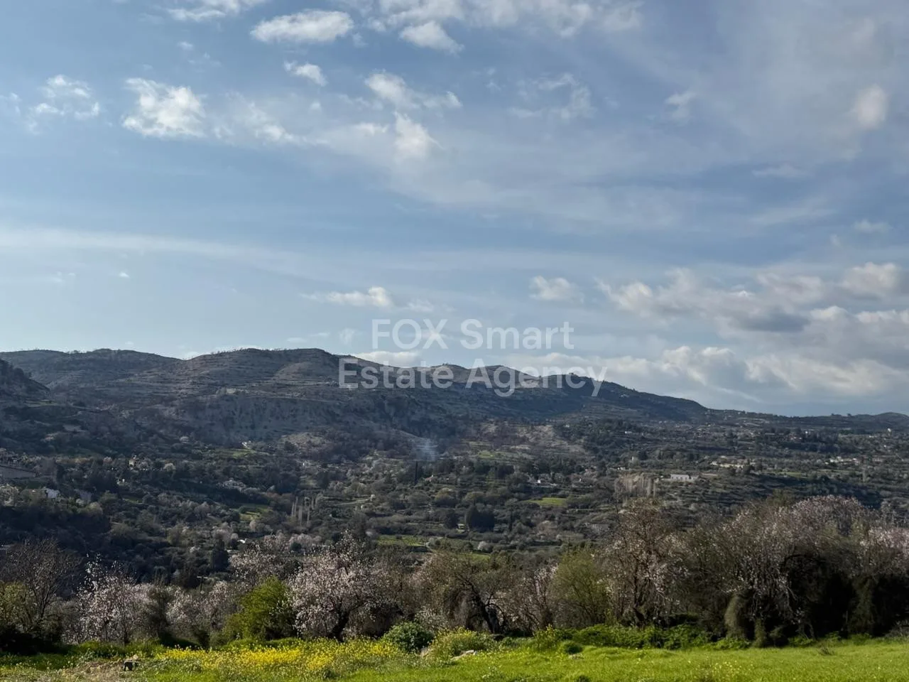 Immobile 59746 Doros, Limassol / LIM-PAF-33566 18