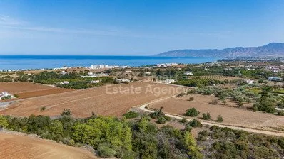 Bien immobilier 59783 Néo Chorio, Paphos / LIM-PAF-33598 17
