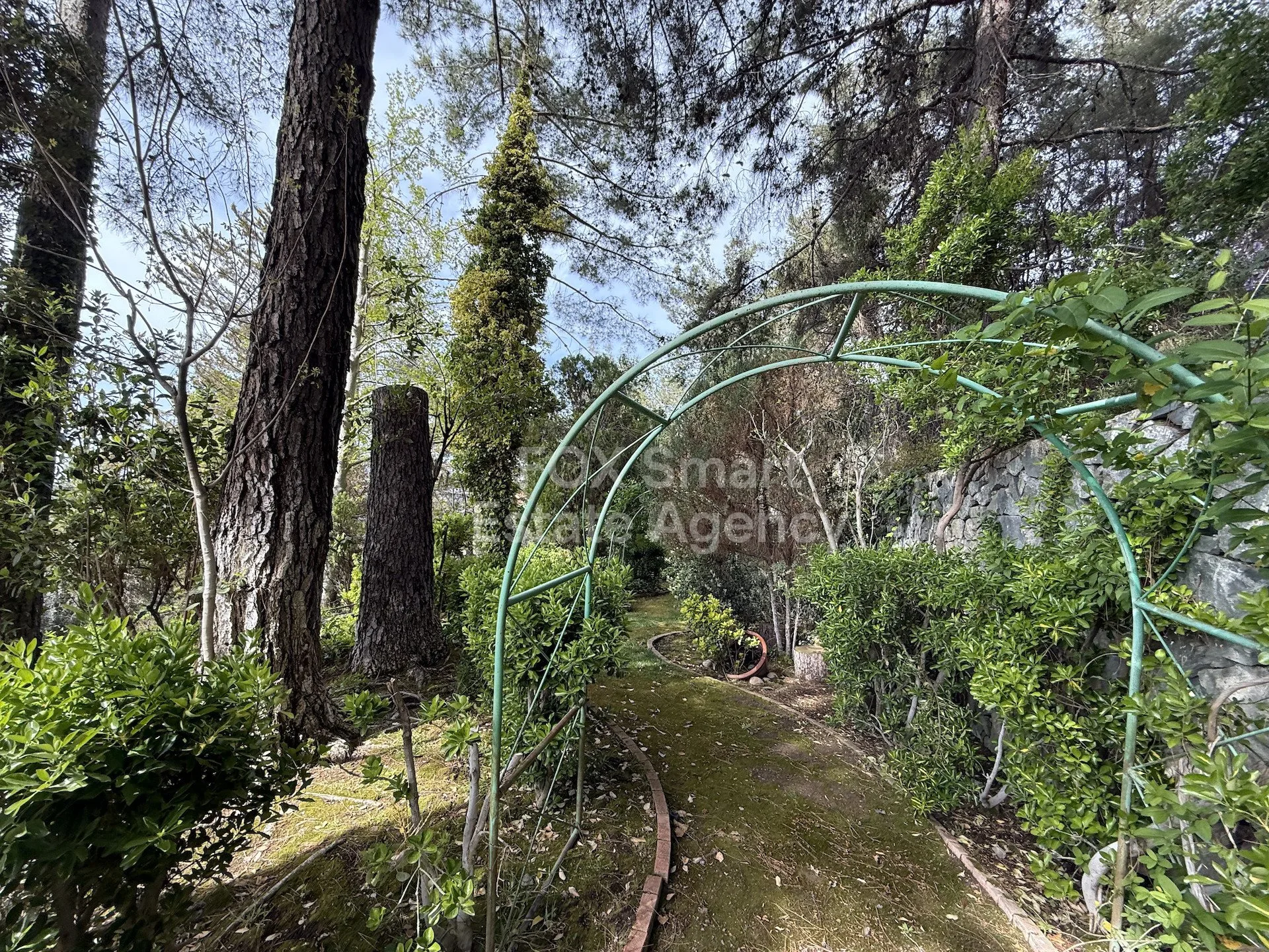 Nieruchomość 59826 Moniatis, Limassol / LIM-PAF-33632 22