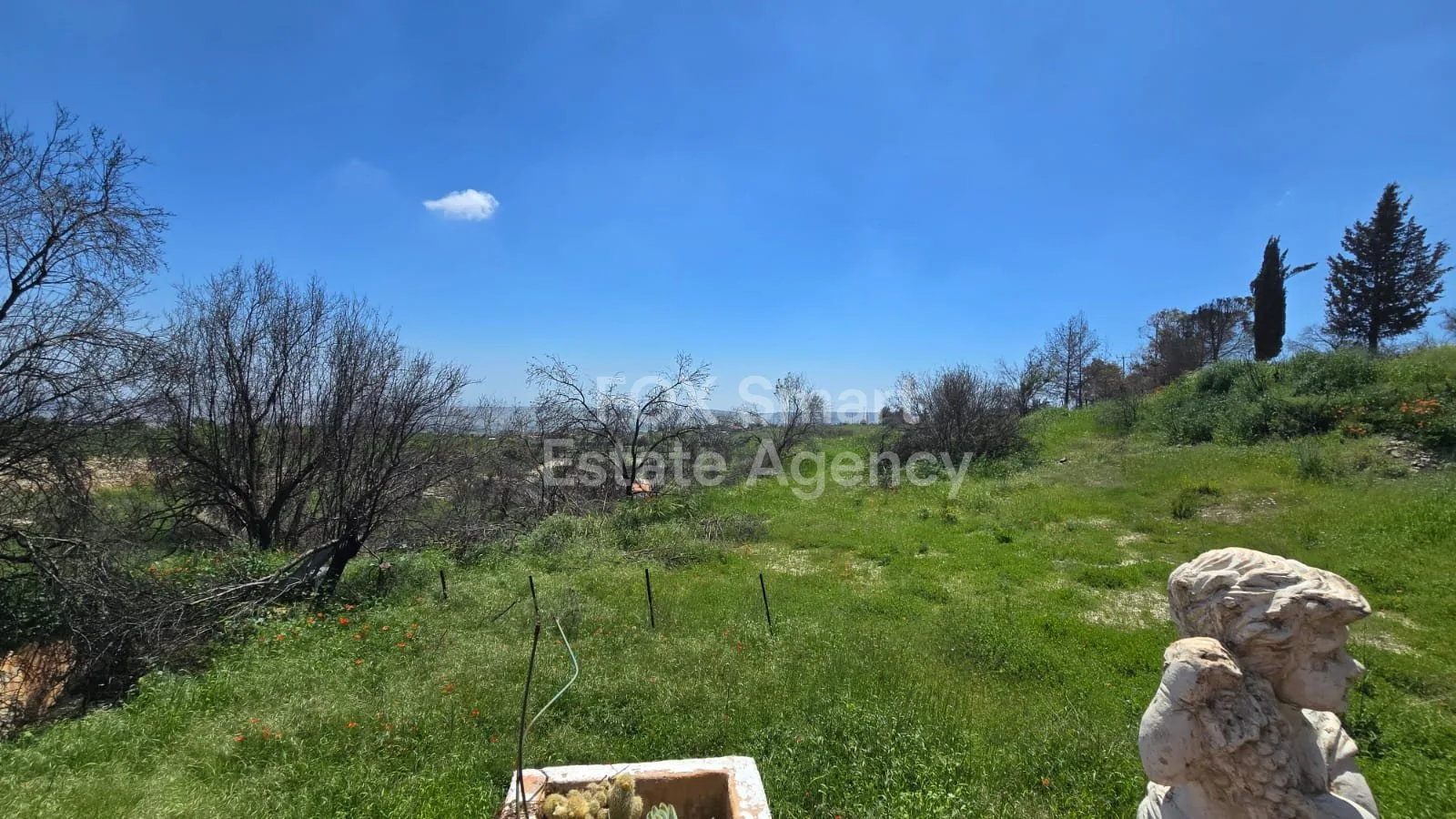 Property 59927 Lofou, Limassol / LIM-PAF-33668